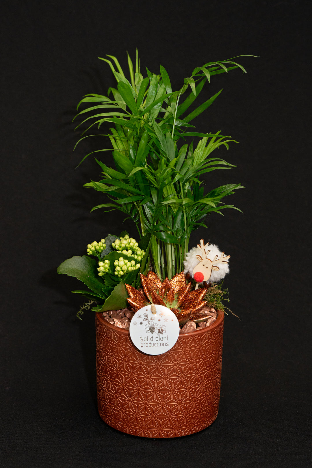 Eve Planter