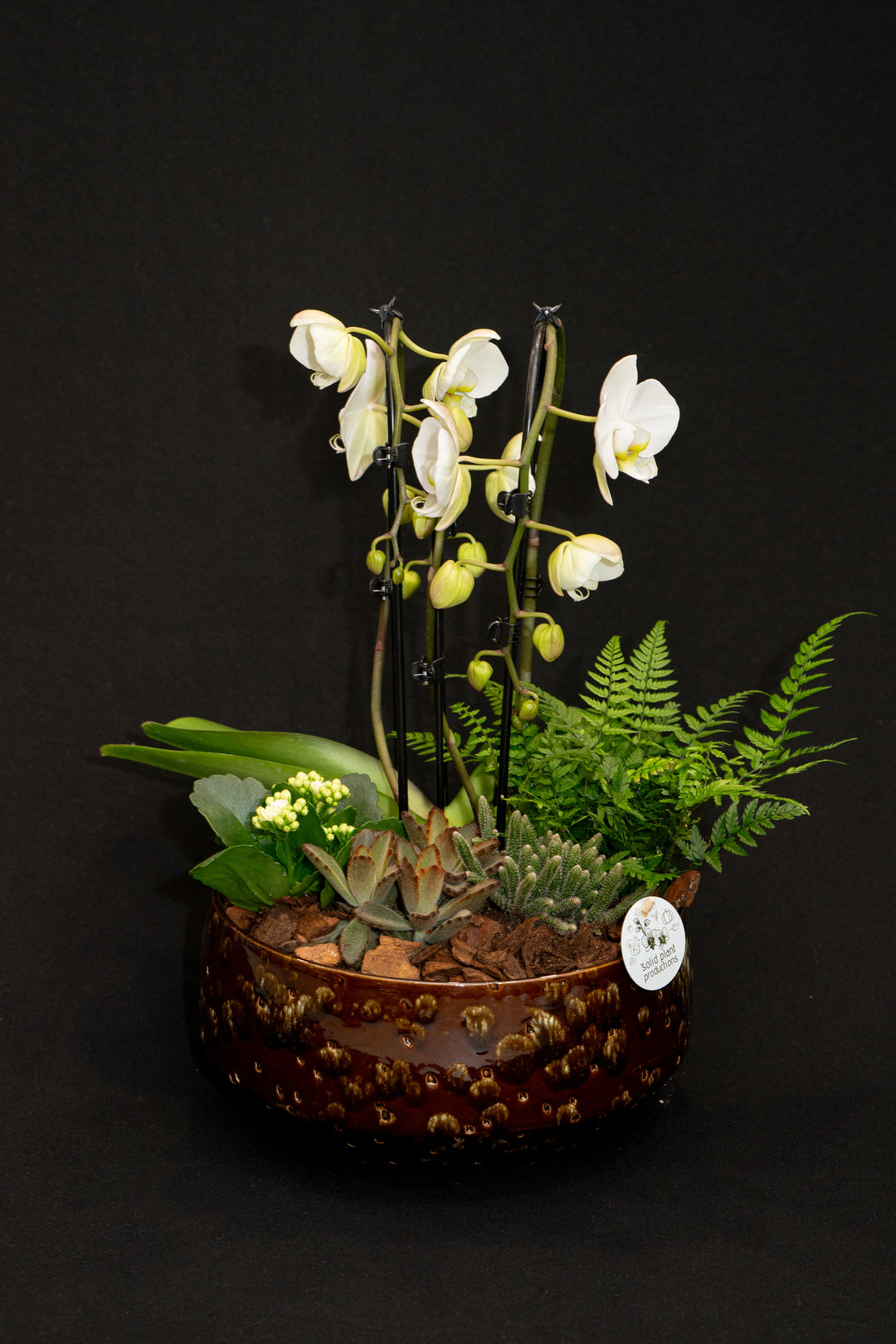 Noelle Planter
