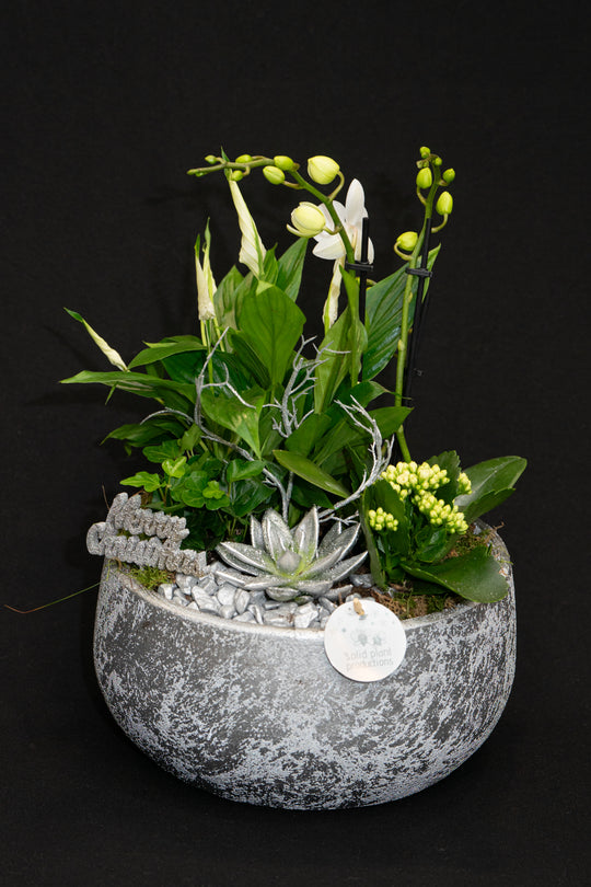 Silver Planter Pot