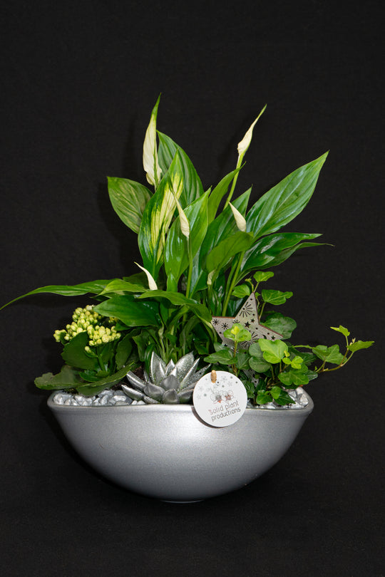 Silver Planter Pot