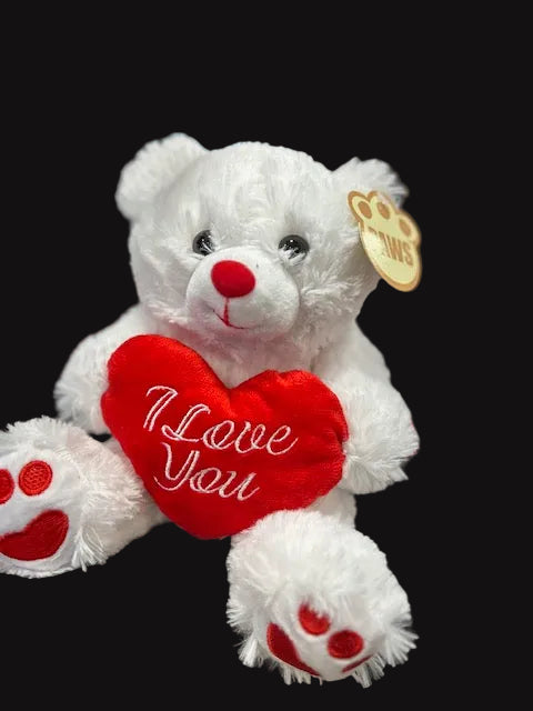 I Love You Teddy